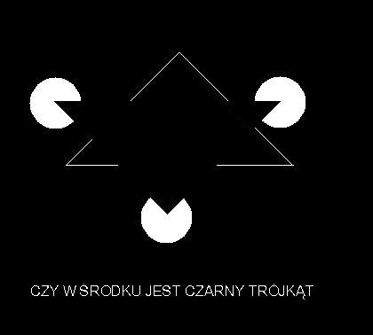 iluzja